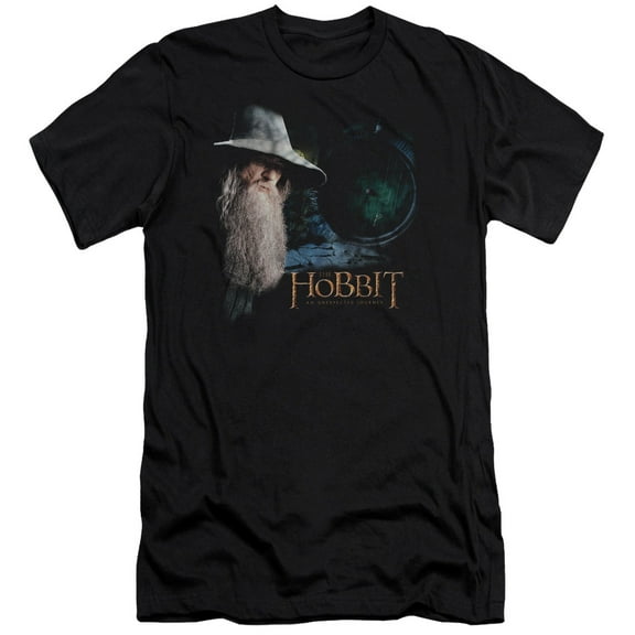 The Hobbit The Door Premium Canvas Adult Slim Fit 30/1 T-Shirt Black