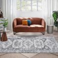 thumbnail image 1 of Runner Rug, Washable Runner Rug Non-Slip Area Rug, Stain Resistant Floor Carpet for Hallway Kitchen Doorway Bedside, 1 of 10