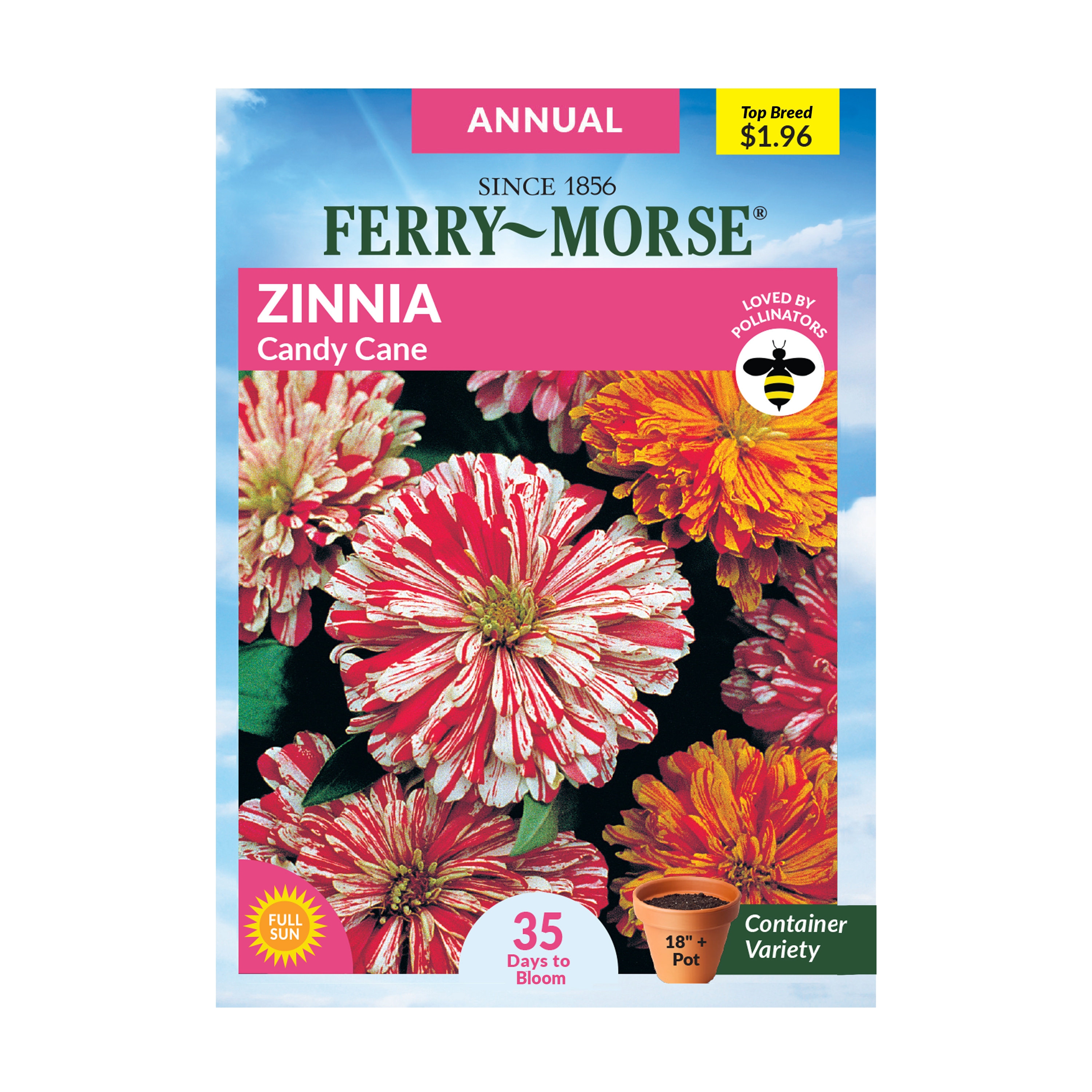 FerryMorse 70MG Zinnia Candy Cane Annual Flower Seeds Packet Seed