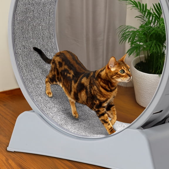SamyoHome Cat Wheel Exerciser for Indoor&Outdoor Cats, Inside Diameter 28.7 in / 73 cm, Including with Carpeted Runway (Gray)