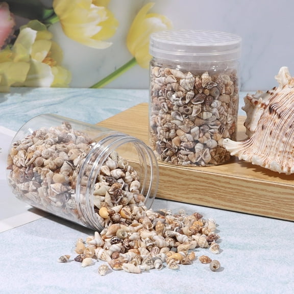 Mini Seashells and Starfish for Home Decor, Crafts, and Beach-Themed Events, 800-Piece