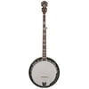 BG-150F Intermediate Bluegrass Banjo For Left Hand Players