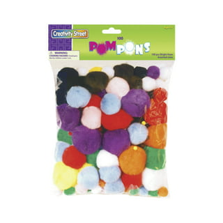 Pom Poms, Color Sorting in Bright & Bold Assorted Colors, Craft Pom Pom  Balls, Pompoms for Crafts, Pom Pom for Crafts 250 Pcs 1 Inch 