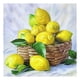 thumbnail image 1 of Cuadros Decorativos 5D Diamond Painting DIY Full Square Drill Mosaico Cuadro Pared Decoraciones para el hogar JShteea Nuevos Originales, 1 of 9
