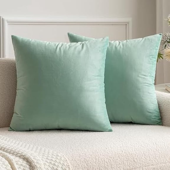 Eryueer Velvet Cushion Covers Soft Decorative Square Throw Pillow Case Pillowcases for Livingroom Sofa Bedroom with Invisible Zipper 18"x18" 45cm x 45cm 2 Pieces Sage Green