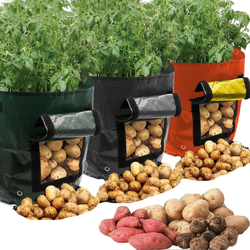 Transparent Reusable Grow Bag Planter Vegetable Tomato Potato Carrot Garden Hot 