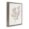 thumbnail image 2 of Stupell Industries Shabby Chic Coral Reef Drift Brown Floating Frame Canvas Art, 25 x 25, by Lily K., 2 of 7