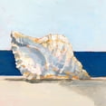 thumbnail image 2 of Harper, Ethan 15x15 White Modern Wood Framed Museum Art Print Titled - Shell By the Shore III, 2 of 4