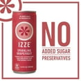 IZZE Sparkling Juice, Grapefruit, 8.4 oz Cans, 24 Count