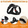 thumbnail image 4 of BRIOPAWS Dog Vest Harness, No Pull Adjustable Dog Harness for Large Dogs, Anti Pull Escape Proof Dog Harness with Easy Control Handle,Black, 4 of 8