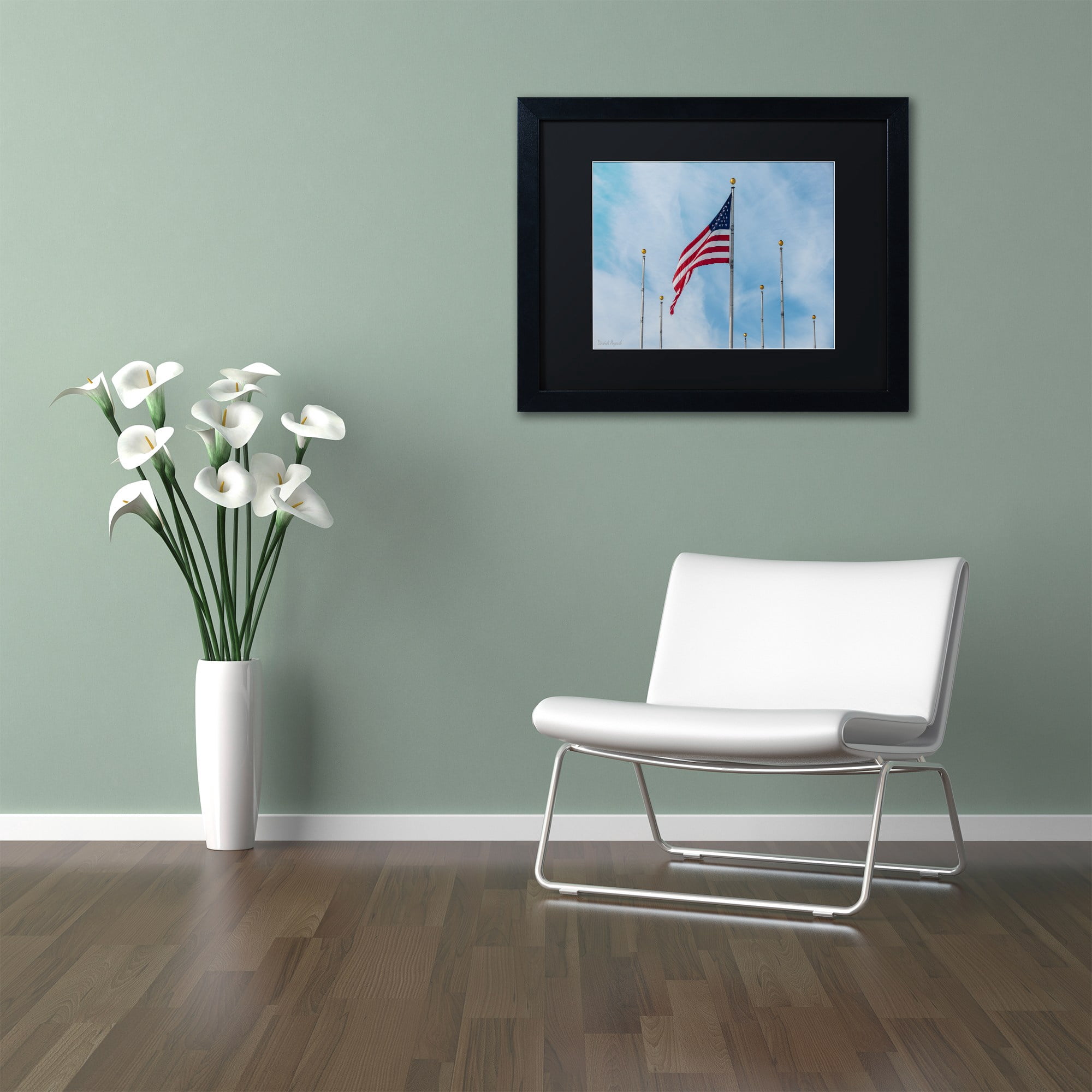 Trademark Fine Art "Red, White and Blue" Canvas Art by David Ayash Black Matte, Black Frame