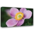 thumbnail image 1 of Erin Berzel 32x23 Gallery Wrapped Canvas Wall Art Titled - Anemone II, 1 of 4