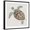 Black Frame, variant on Art.com Sea Turtle II Stretched Canvas Print Wall Art by Naomi McCavitt, 30" x 30"