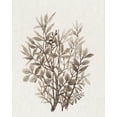 thumbnail image 2 of OToole, Tim 26x32 White Modern Wood Framed Museum Art Print Titled - Leaf Arrangement IV, 2 of 4