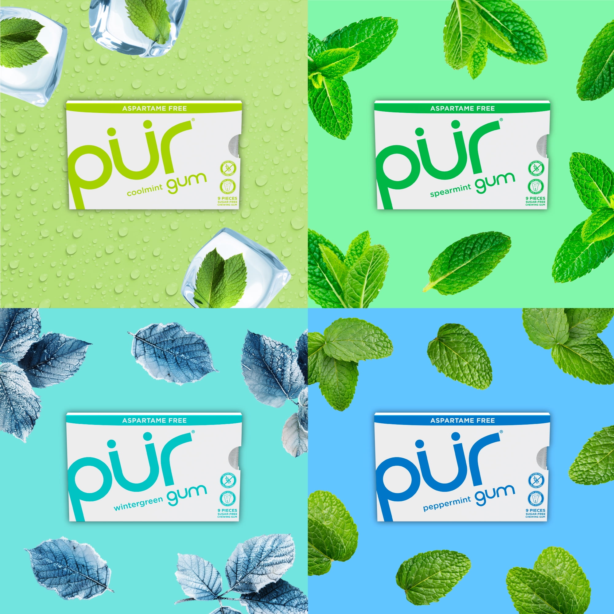 PUR Gum, Aspartame Free, Sugar Free & 100% Xylitol, Chewing Gum, Variety Pack,  9 Pieces, Pack of 8
