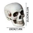 thumbnail image 2 of Realistic Halloween Skull Decoration Spooky Haunted House Prop with Bloody Details for Parties & Events, 2 of 6