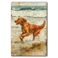 thumbnail image 3 of Funny Dog on Beach Canvas Wall Art, Irish Setter Dog Picture Ocean Artwork for Bathroom Bedroom Living Room, Art Decor 8x12 Inches, 3 of 6