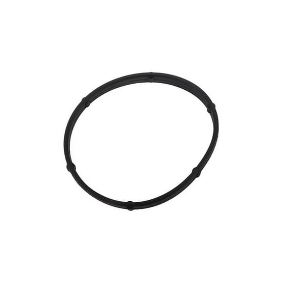 GM Genuine Parts EGR Valve Gasket