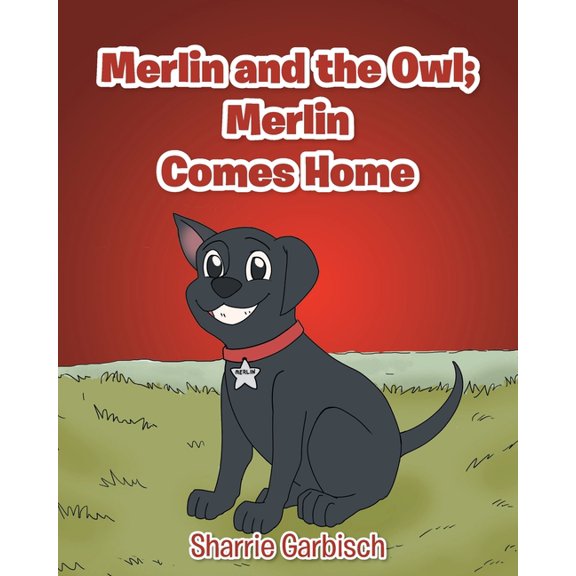 Merlin and the Owl: Merlin Comes Home, (Paperback)