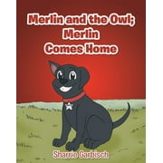 Merlin and the Owl: Merlin Comes Home (Paperback)