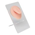 thumbnail image 1 of Soft Silicone Tongue Model Professional 3D Simulated Tongue Model with Stand for Piercing Practice Light Skin Color, 1 of 4