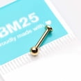 thumbnail image 4 of Golden Basic Ball Top Threadless Push-In Steel Labret, 4 of 4