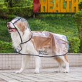 thumbnail image 3 of Chubasquero transparente para perros, chaqueta impermeable con capucha para perros pequeños, medianos y grandes, suministros para mascotas para pasear al aire libre, 3 of 5