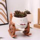 thumbnail image 2 of Maceta de resina con forma de cara sonriente, ideal para leer, para suculentas de interior y exterior., 2 of 8