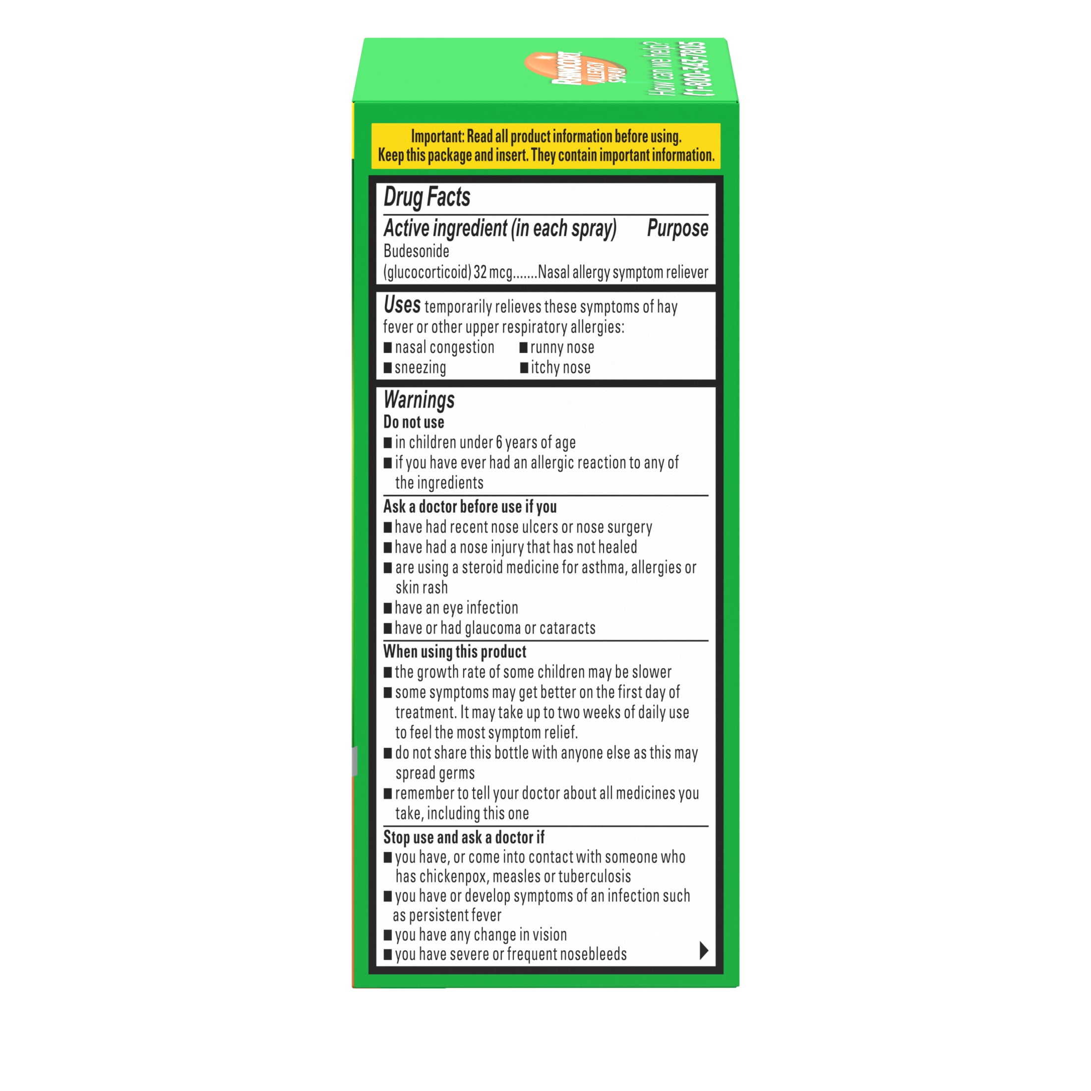 Rhinocort 24 Hour Allergy Relief Budesonide Nasal Spray, 120 Sprays