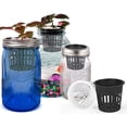 thumbnail image 2 of 25 Pack Heavy Duty 3-Inch Round Net Pots for Orchids & Hydroponics, 2 of 5