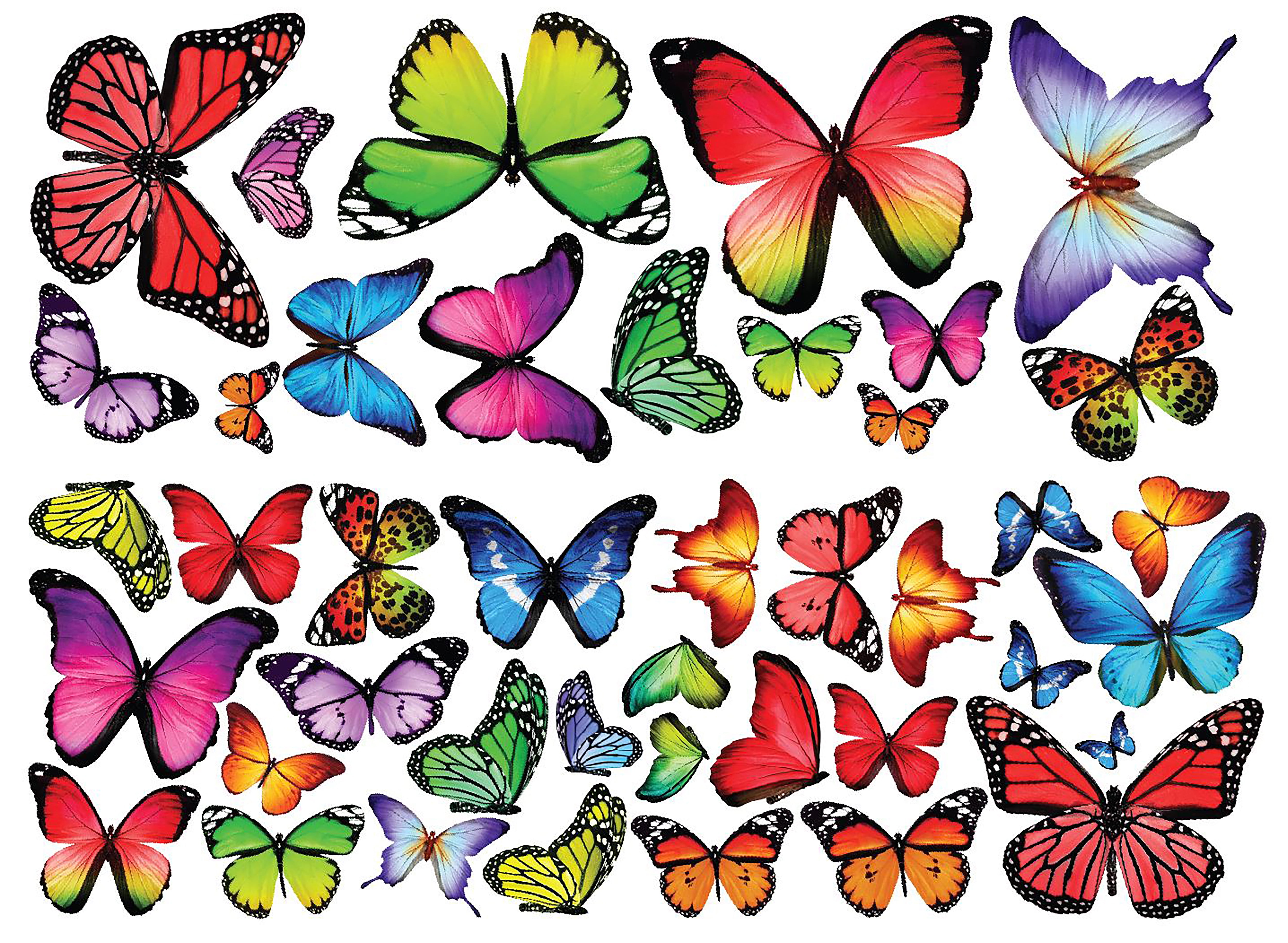 Set 4x sticker decal car laptop macbook kitchen butterfly rainbow colored room 