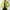 Green, variant on Business Jackets for Women Clearance Business Button Front Fall Fashion Lapel 2024 Blazer Oversized Slim Fit Work Jackets Deals Of the Day Clearance