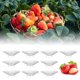 thumbnail image 1 of Soporte Para Fresas Nuevo Soporte Para Fresas 2025 Soporte Para Fresas Protector Para Bastidores De Cultivo De Fresas Mantiene Las Fresas Limpias Jaula Para Bastidores De Cultivo De Fresas Para Ja, 1 of 2