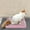 Pink, variant on Leakproof Home Dog Urine Basin Dog Toilet