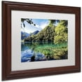 thumbnail image 2 of Trademark Fine Art "Tiger Lake" Canvas Art by Philippe Hugonnard, White Matte, Wood Frame, 2 of 4