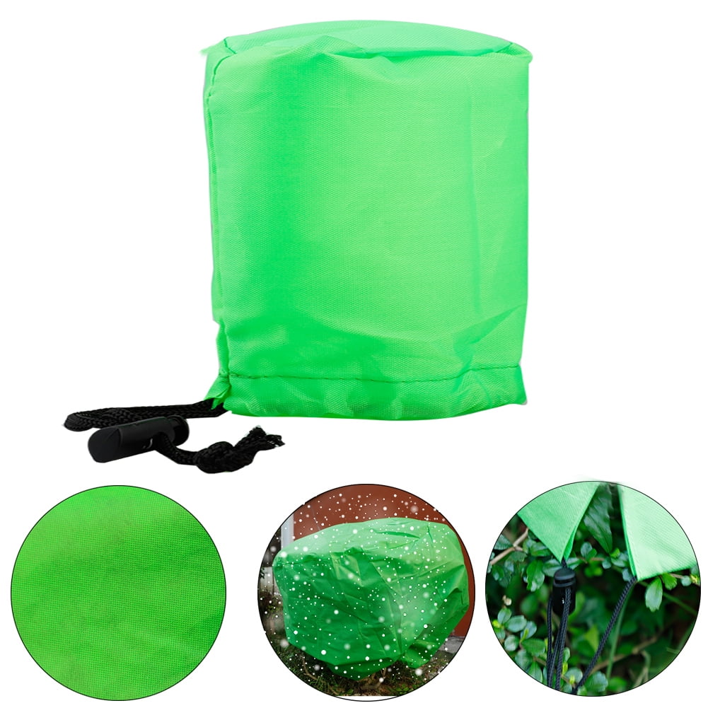Plant Cover Frost Protection Plant Warm Worth Frost