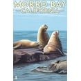 thumbnail image 3 of Morro Bay, CA, Sea Lions (100% Cotton Tea Towel, Decorative Hand Towel, Kitchen and Home), 3 of 3