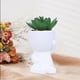 thumbnail image 5 of Maceta Moderna Para Plantas Suculentas Maceta De Cerámica Miniatura Se Puede Utilizar Como Decoración Para Jardinería Doméstica Y Escritorio, 5 of 6