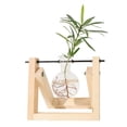 thumbnail image 1 of Desktop Hydroponics Glass Bulb Planter Vase with Wood Stand Versatile Table Decorative Vase for Home/Office, 1 of 5