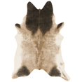 thumbnail image 1 of Grand Canyon Tan / Espresso - 3'-10 "x 5 ' Loloi II GRANGC-12TNEX3A50, 1 of 1