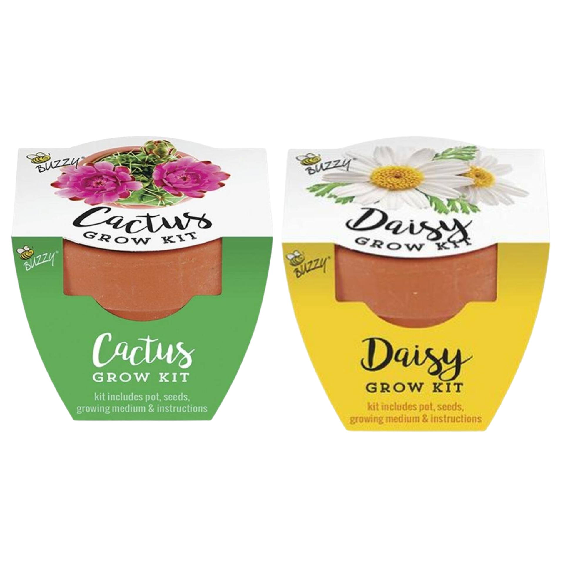 (12) Floral Grow Pot Kit Indoor Outdoor Seed Starter Grow Kit Daisy