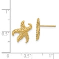 thumbnail image 3 of 14k Yellow Gold Starfish Stud Earrings Animal Sea Life, 3 of 7