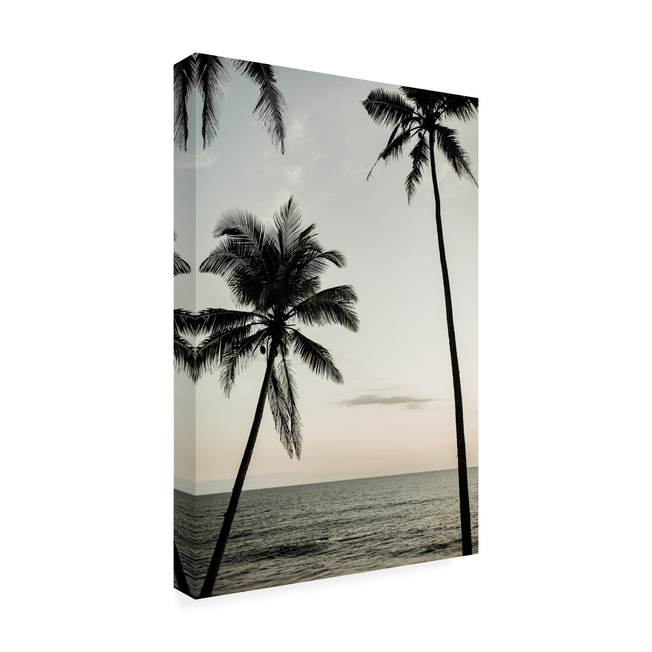 Trademark Fine Art Shot by Clint Easy Ride Canvas Wall Art