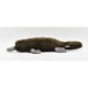 thumbnail image 2 of Hansa Ornitorrinco Peluche Animal 16"", 2 of 5