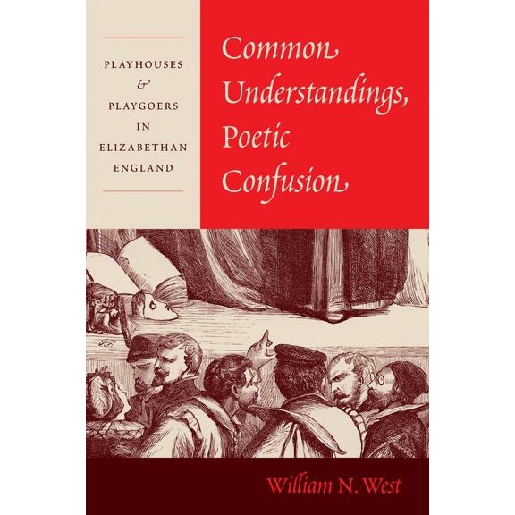 Common Understandings, Poetic Confusion : Playhouses and Playgoers in Elizabethan England (Hardcover)