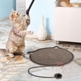 thumbnail image 4 of DOLITY Cat Scratch Mat Floor Scratching Pad Cat Scratch Pad for Indoor Cats Bedroom Coffee, 4 of 6