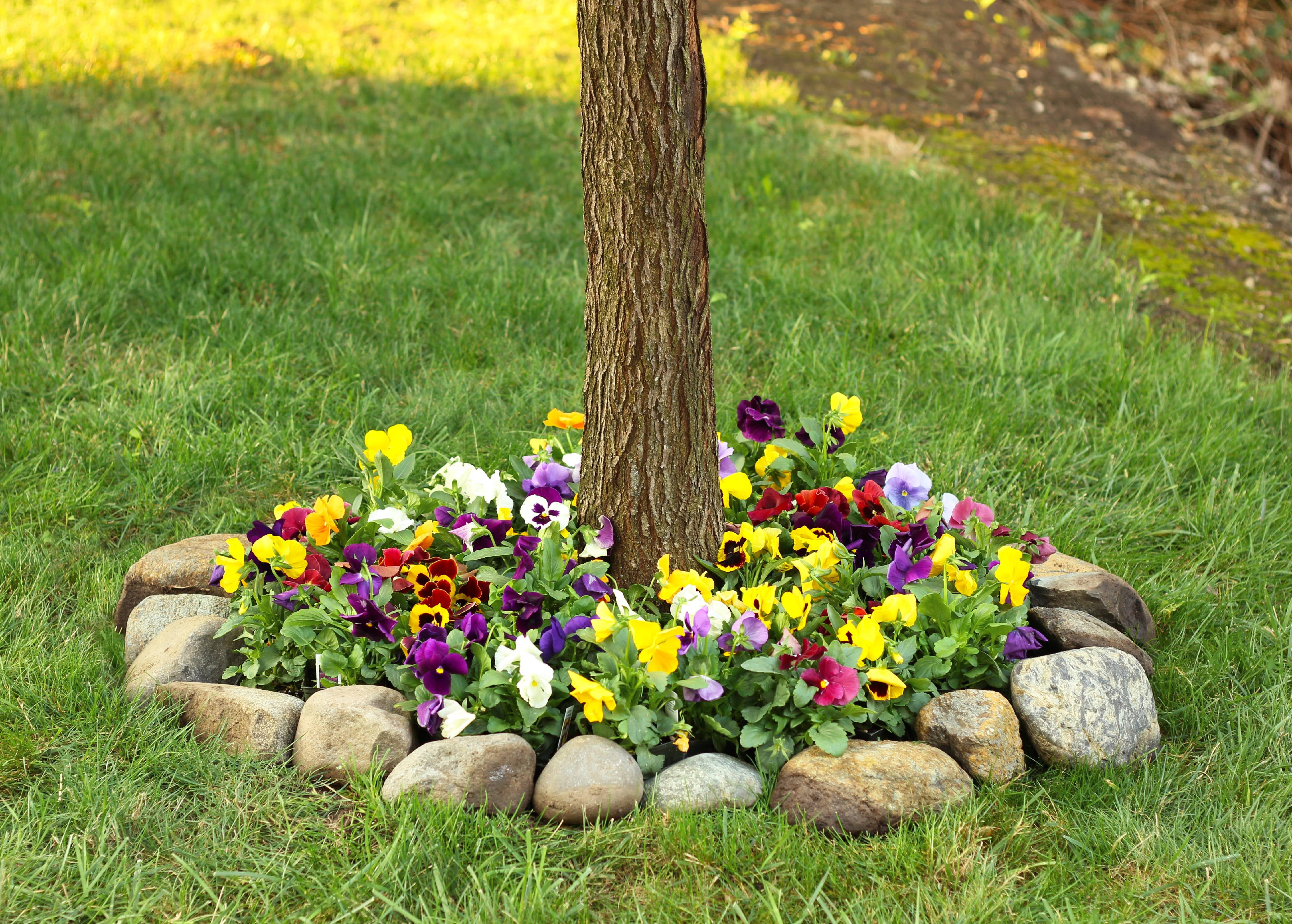 Mixed Pansy Pre Seeded Flower Mat Walmart Com