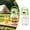 Green, variant on Portable Glass Smoothie Juicer Cup with Digital Display, 6 Blades Rechargeable Fruit Mixer with Carry Handle, USB Type-C Personal Blender for Travel Gym Outdoor Picnic