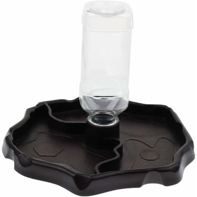 Dispensador de agua portátil de café con bebedero de plástico para reptil tortuga Gecko