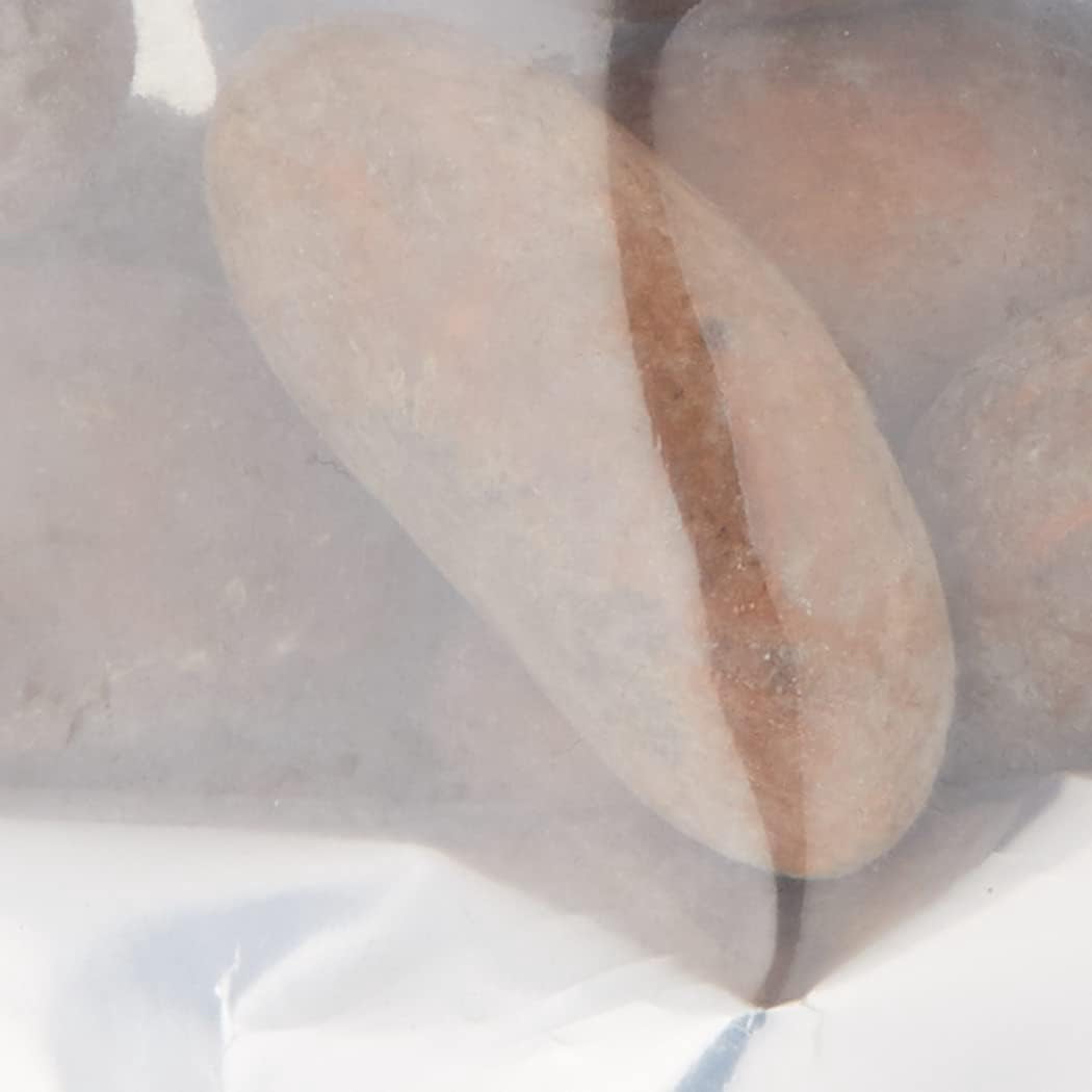 Organic Garcinia Kola/Bitter Kola Nuts 1/2LB